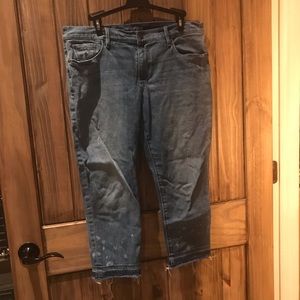 Loft Cropped Jeans